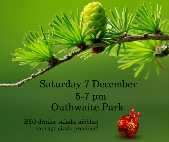 Saturday 7 December
5-7 pm
Outhwaite Park